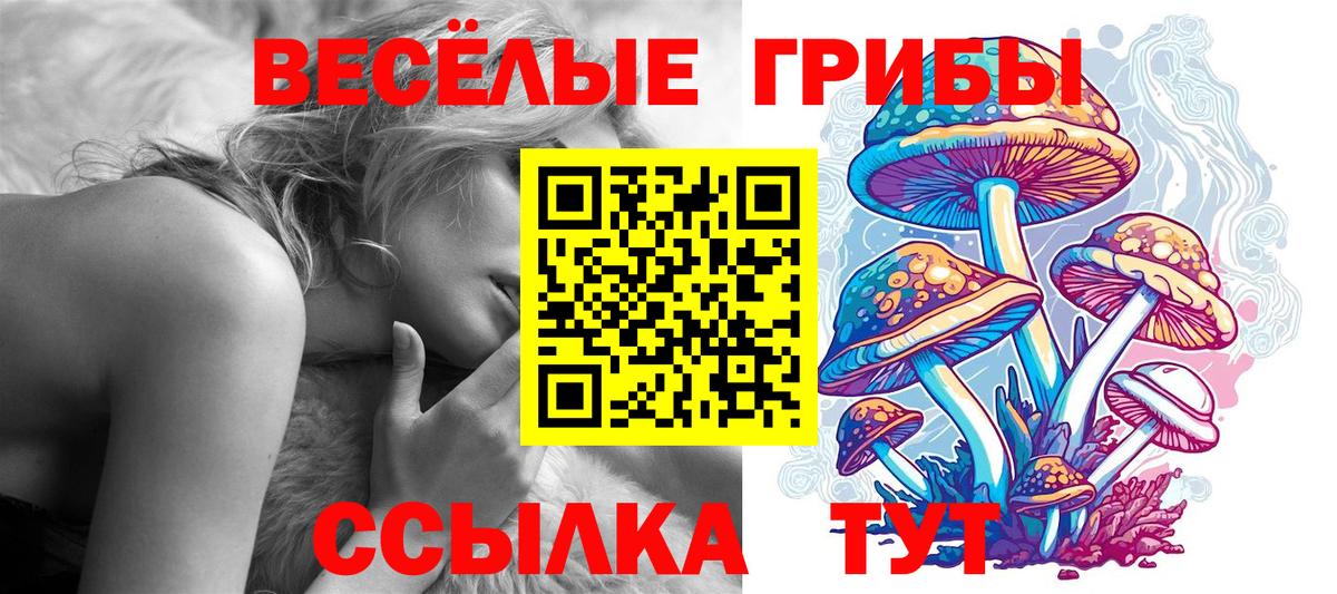 Галлюциногенные грибы MAGIC MUSHROOMS Ейск