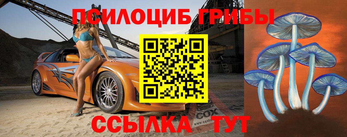 как найти наркотики  Вход с VPN  Галлюциногенные грибы мицелий  Ейск  Галлюциногенные грибы мицелий 